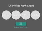 Simple jQuery Toggle Menu with Awesome Sliding Effects