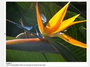 Simple jQuery and jQuery UI Based Lightbox Plugin - lightbox.ui