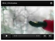 Smart jQuery Brightcove Video Plugin