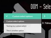 Stunning Animated Select Element Replacement - jQuery dom-selectizing