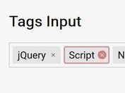 <b>Tiny Text Field Based Tags Input Plugin - Tagify</b>