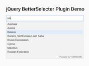 Tiny jQuery Plugin For Filterable & Styleable Select Element - BetterSelecter