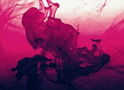 Weekly Web Design & Development News: Collective #585