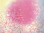 Weekly Web Design & Development News: Collective #637