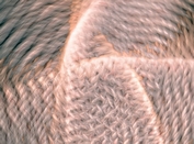 Weekly Web Design & Development News: Collective #639