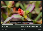 Able Player: Accessible HTML5 Media Player with Captions