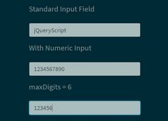 Allow Only Number In HTML Text Box - jQuery numericInput.js