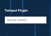 Animated Multilingual Placeholder Plugin - jQuery Type-placeholder.js