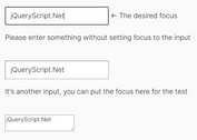 Auto Set Focus On Specific Form Field While Typing - cleverfocus