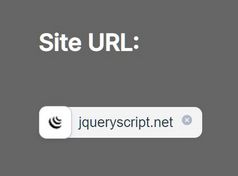 Beautiful URL Input Plugin With jQuery - Website Input
