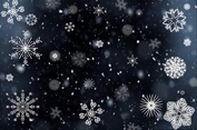 10 Best Falling Snow Effects Using JavaScript & CSS