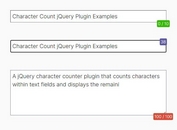 Count Characters Within Text Fields With The char-count Plugin