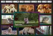 Customizable & Filterable Gallery In jQuery - tabX