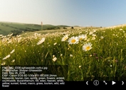 Fullscreen Image Slideshow with EXIF Metadata Display