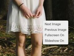 Responsive Slideshow With Fullscreen Mode Support - jsRapPicture