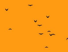 Create Halloween Bats Flying Around The Page With jQuery