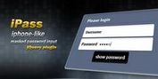 iPass Plugin iphone-like Login Form