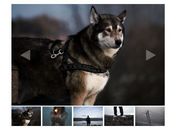 Minimal Image Gallery & Carousel Plugin - jQuery Albery