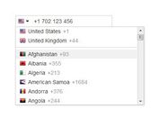 <b>International Telephone Input With Flags and Dial Codes</b>