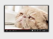 jQuery Lightbox Plugin For Youtube Videos - Video Lightning