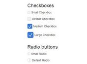 jQuery Plugin For Animated Custom Checkboxes & Radio Buttons - checkBo