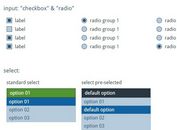 jQuery Plugin For Custom Styled Form Elements - cForms