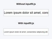 jQuery Plugin For Resizing Text To Fit Within Input Field - inputfit.js