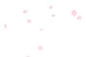 jQuery Plugin For Sakura Petals Falling Animation - Sakura