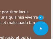 jQuery Plugin For Scroll To Top / Bottom Buttons - elevator