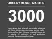 jQuery Plugin For Smart Text Resizing - resizeMaster3000