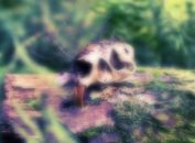 jQuery Plugin To Change The Opacity By Mouse Location