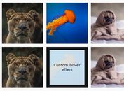jQuery Plugin To Detect Mouse Enter/Exit Events By Side - jq.entry