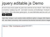 jQuery Plugin To Make Any DOM Element Editable - Editable.js