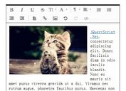 jQuery WYSIWYG Rich Text Editor Plugin - Froala Editor