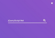 Morphing Fullscreen Site Search Box With jQuery And CSS3