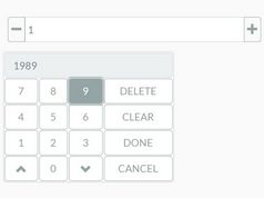 Spinner Input With Virtual Keypad - jQuery Number Control
