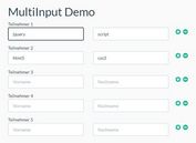 Create Dynamic Repeatable Form Elements - jQuery multiInput