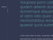 Slim One Page Scroll Indicator With jQuery And CSS