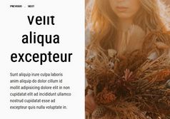 Modern Split Carousel Slider In jQuery - Split.js