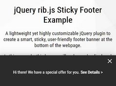 Smart Sticky Footer (Bottom Banner) With jQuery - rib.js
