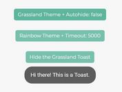 Create Toast Messages Like Android - toastr.js