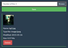 Multi-file Uploader With jQuery, Bootstrap And PHP - Swallow
