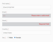 Validate Form Fields With NO Code Skills - jQuery SimpleValidation