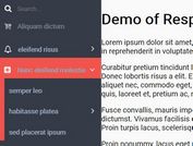 Wordpress Style Vertical Sidebar Navigation Plugin - jQuery rvnm